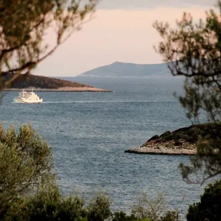 Holiday House Villa Korcula 3502 * Vela Luka